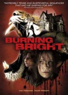 Во власти тигра (2010)