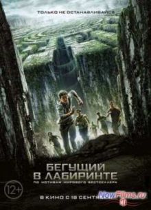 Бегущий в лабиринте (2014)