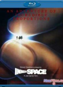 Внутреннее пространство (1987)