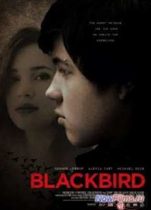 Чёрный дрозд (2012)