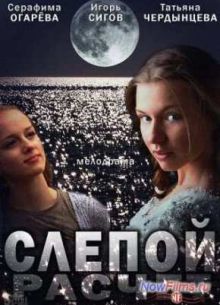 Слепой расчет (2014)
