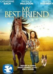 Мой лучший друг (2016)