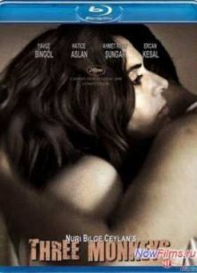 Три обезьяны (2008)