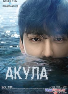 Акула (2013)