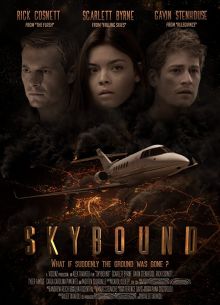 Зависшие в воздухе (2017)