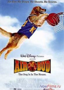 Король воздуха (1997)
