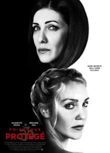 Роковая ассистентка (2019)