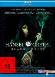 Темный лес: Ганс, Грета и 420-я ведьма (2013)