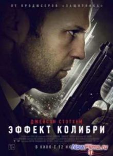 Эффект колибри (2013)