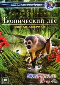 Тайны планеты Земля. Удивительный тропический лес: Южная Америка (2012)