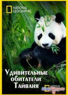 Смотреть Удивительные обитатели Тайваня (2011)