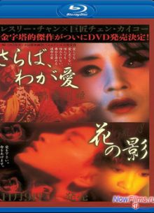 Прощай, моя наложница (1992)
