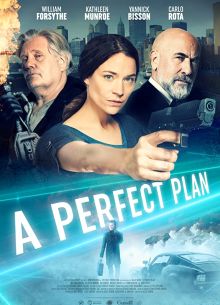 Идеальный план (2020)