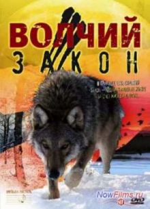 Волчий закон (2008)