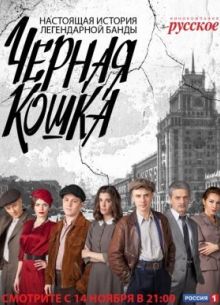 Черная кошка (2016)