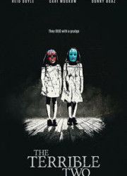 Зловещая двойня (2017)
