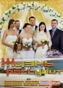Жизнь рассудит (2014)
