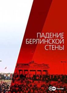 Падение Берлинской стены (2009)