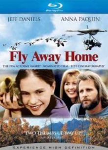 Летите домой (1996)