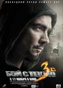Бой с тенью 3D: Последний раунд (2011)