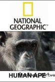  National Geographic:  ...? (2008)