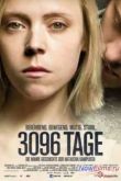  3096  (2013)