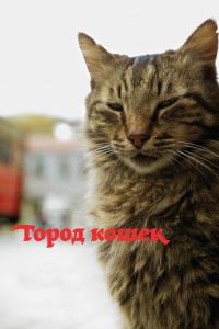 Город кошек (2016) Город кошек (2016)