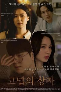 ���� �������� (2025)