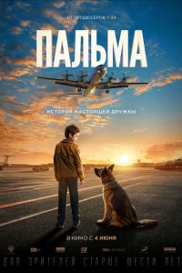 Пальма (2020) Пальма (2020)