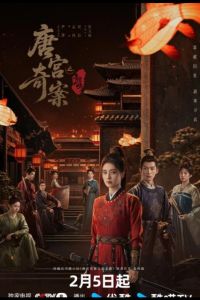 ���������� ����� � �������� ����� / ����� ������ ���: ���������� ����� (2026)