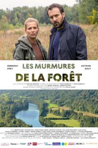 ����� ���� (2026)