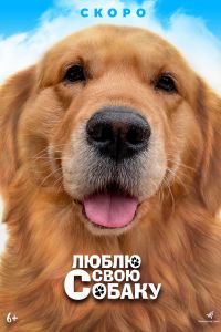 Люблю свою собаку (2023) Люблю свою собаку (2023)
