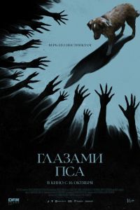 Глазами пса (2025) Глазами пса (2025)