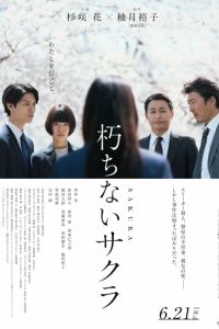 ������ ������ (2024)