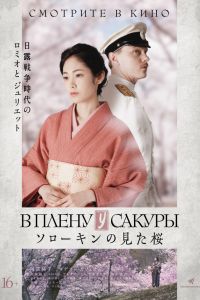 В плену у сакуры (2019) В плену у сакуры (2019)
