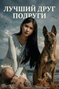 ������ ���� ������� (2024)