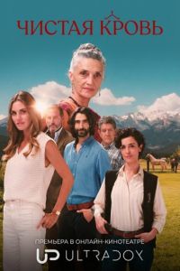 ������ ����� (2026)