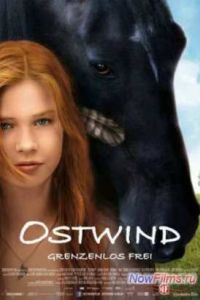 Восточный ветер (2013) Восточный ветер (2013)