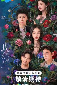 ������ / � ����� (2026)