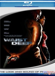 Перехват (2006)