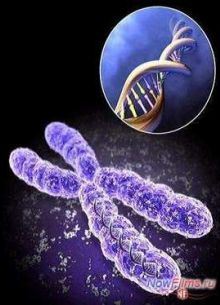 ����������� �����. �������� (2014)