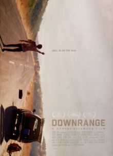    (2017)