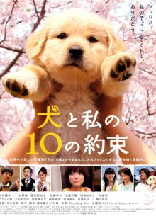 10 �������� ���� ������ (2008)