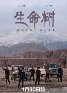 ��������� ���� / ������ ����� (2026)