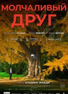 ���������� ���� (2025)