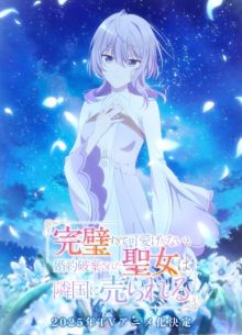    ,    - ,      (2025)