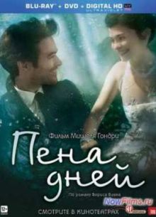 Пена дней (2013)