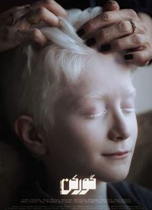 Барсук (2020)