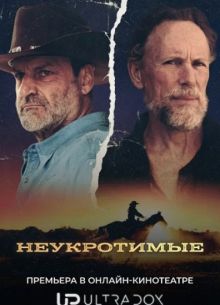 ����������� (2026)